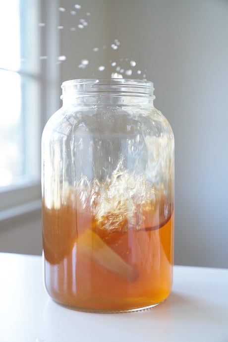 How to Run Your Own SCOBY Hotel