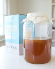 Load image into Gallery viewer, The &quot;Basics&quot; Joshua Tree Kombucha Starter Kit for Homebrewing