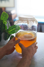 Load image into Gallery viewer, kombucha scoby home brew jar