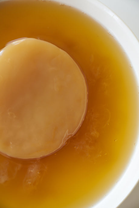 How to Keep Your SCOBY Healthy and Mold-Free