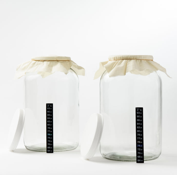 One Gallon Glass Fermenting Jars with Muslin Cloth Covers and Temp Strips - Set of 2