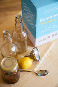 kombucha home fermentation bottle with kit